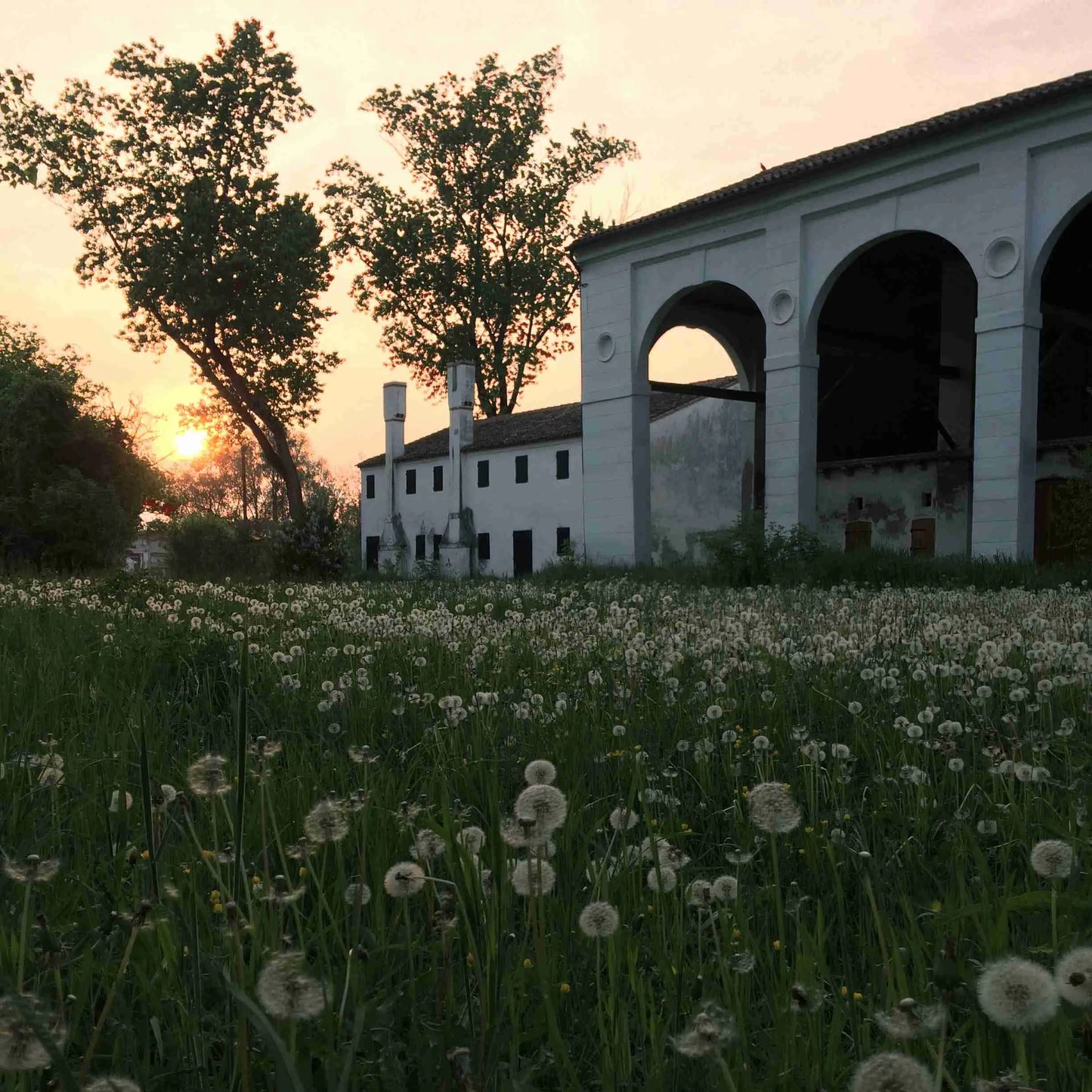 FIDORA AMARONE DELLA VALPOLICELLA DOCG 2016 Monte Tabor
