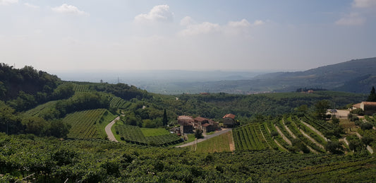 Amarone - der Grandseigneur aus Norditalien