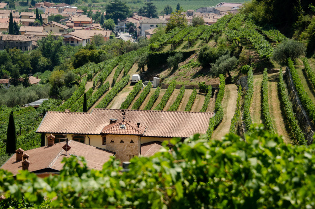 RAVAZZOL AMARONE DELLA VALPOLICELLA RISERVA DOCG 2013
