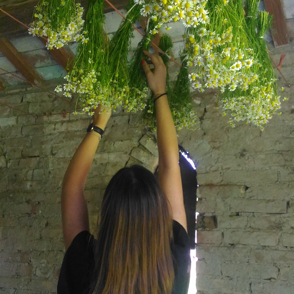 FIDORA AMARONE DELLA VALPOLICELLA DOCG 2016 Monte Tabor